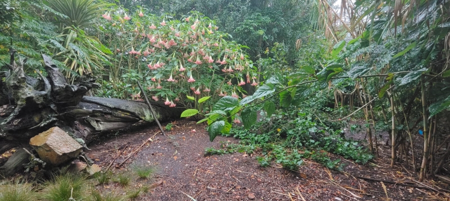 3 Bedroom Property for Sale in Greenbushes Eastern Cape